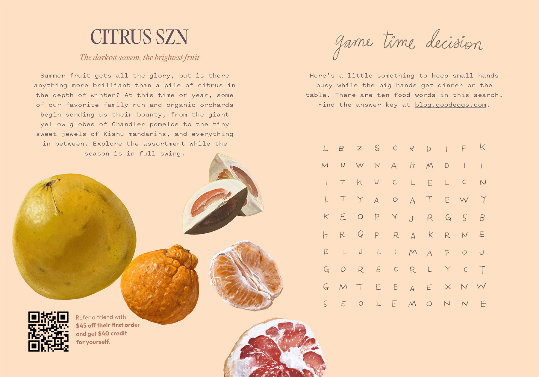Good Eggs citrus illustration