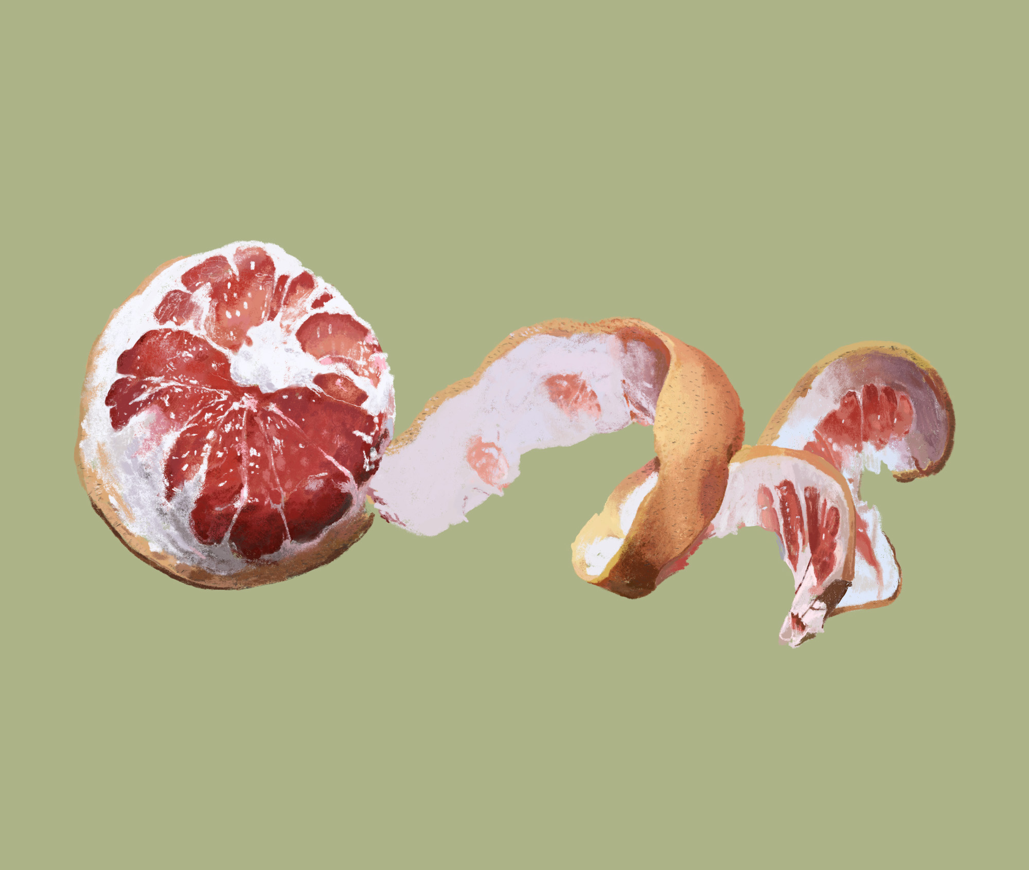 Peeled grapefruit illustration for Good Eggs Zine