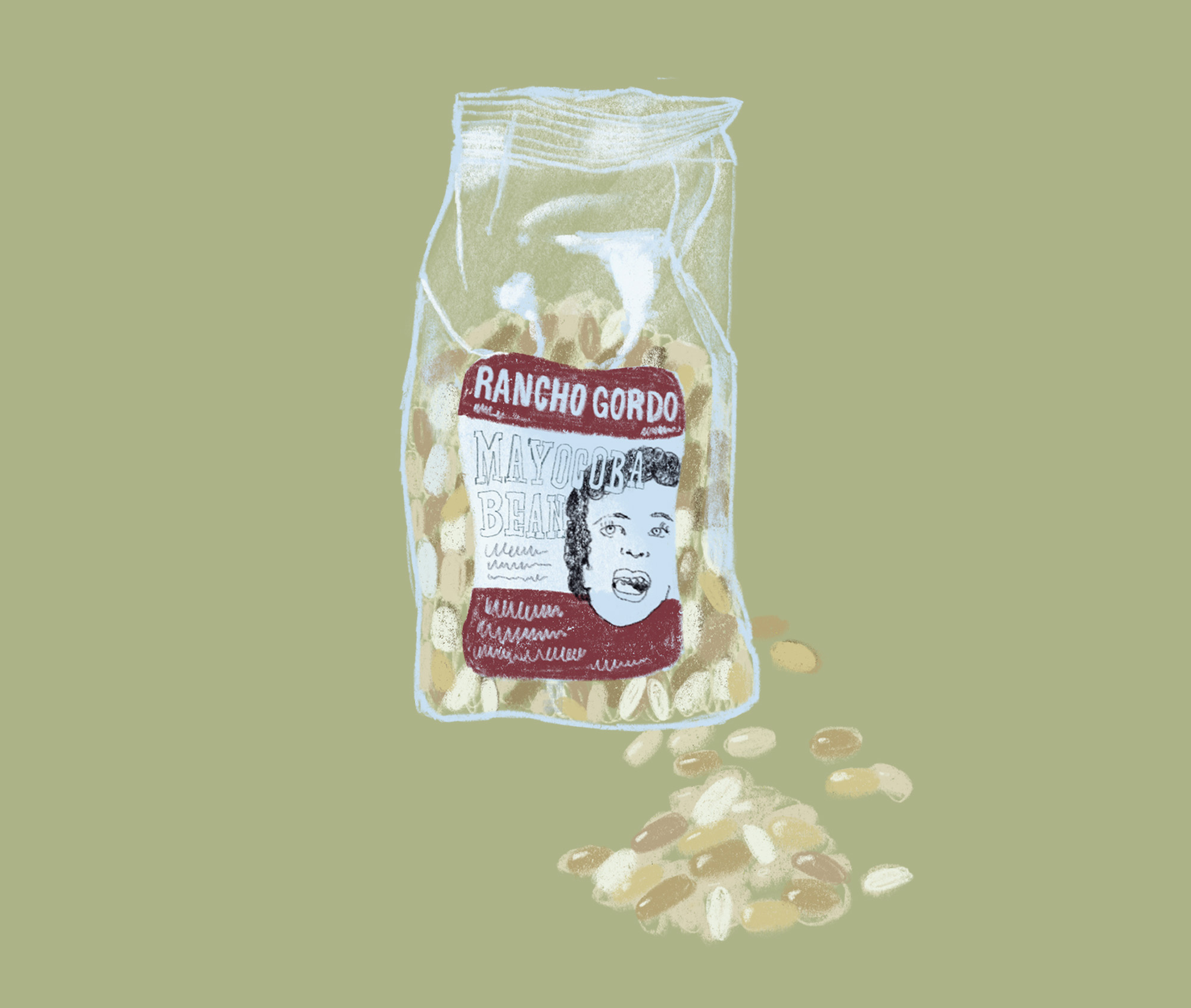 Rancho Gordo beans illustration for Good Eggs Zine
