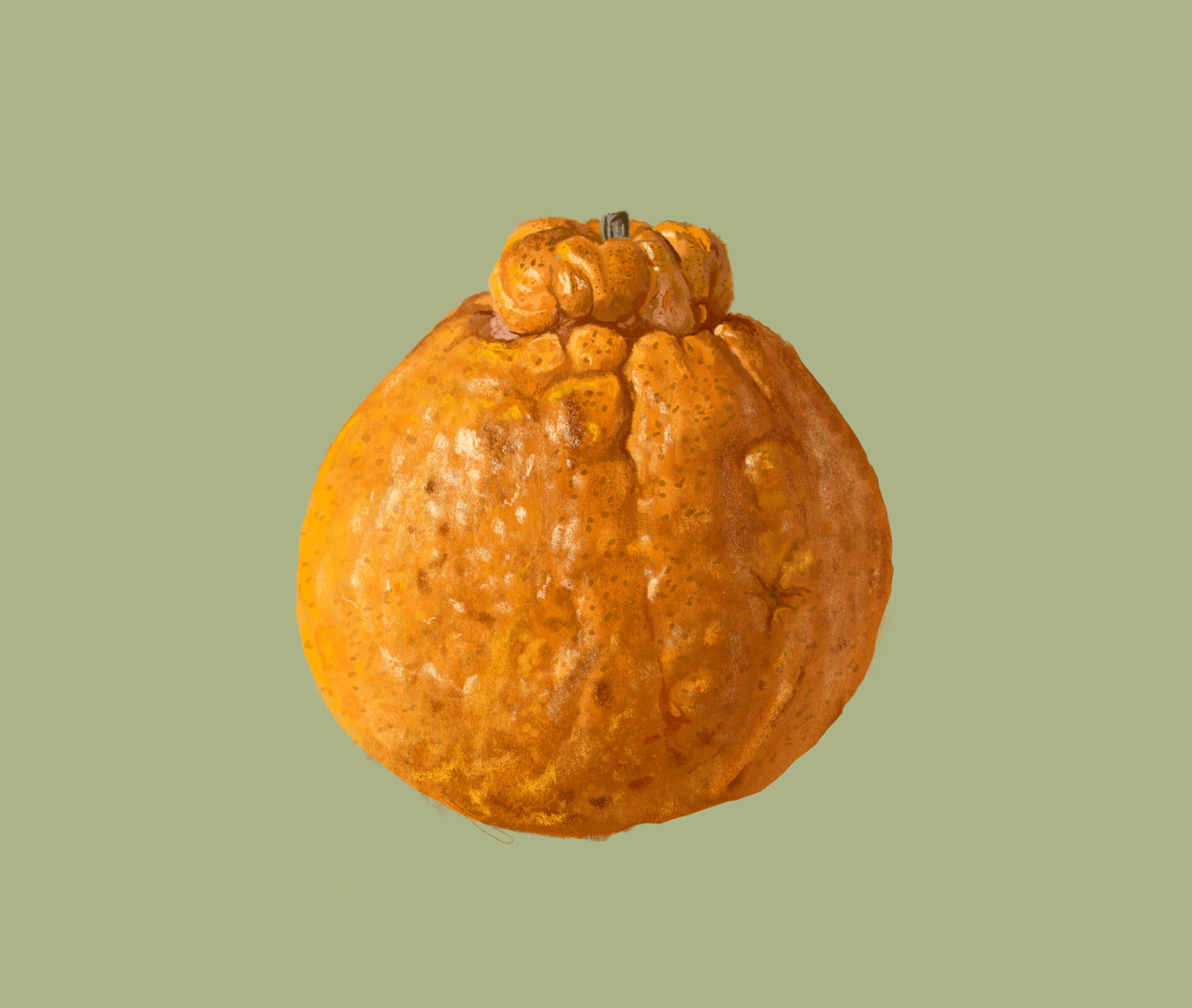 Sumo orange illustration for Good Eggs Zine
