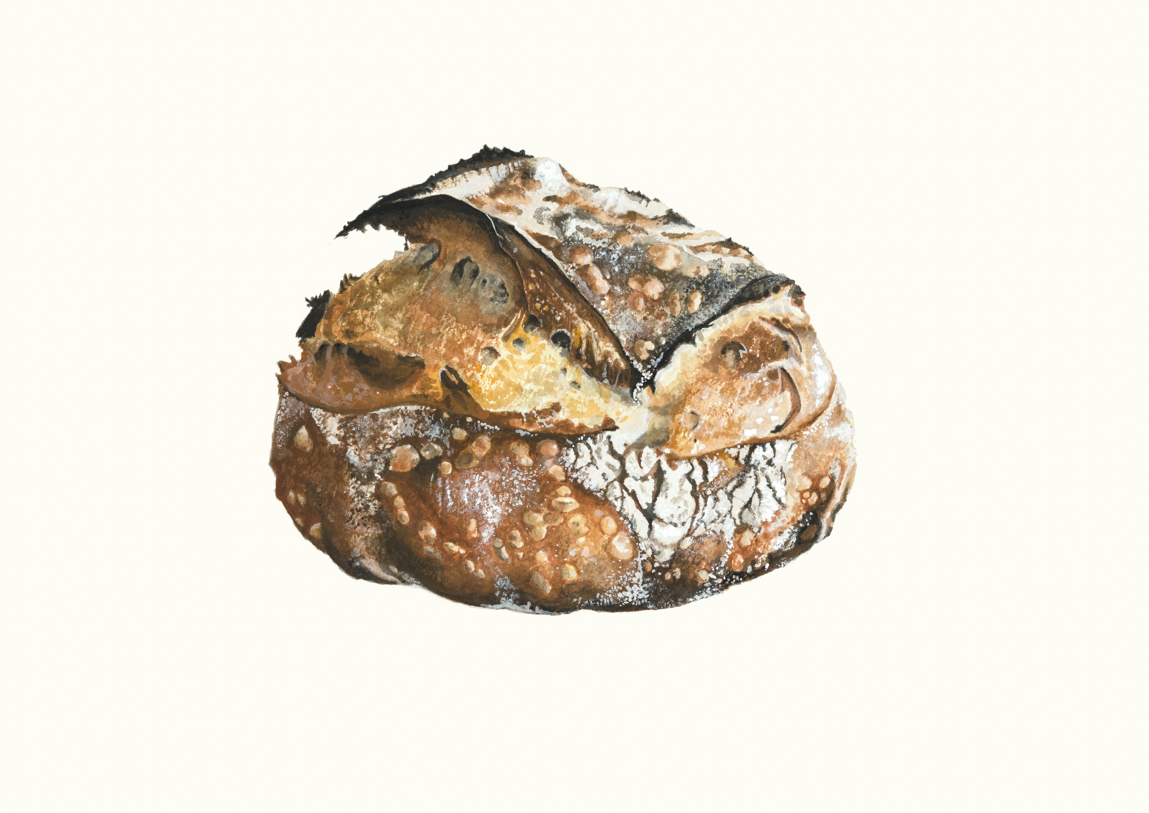 Loaf of Bread