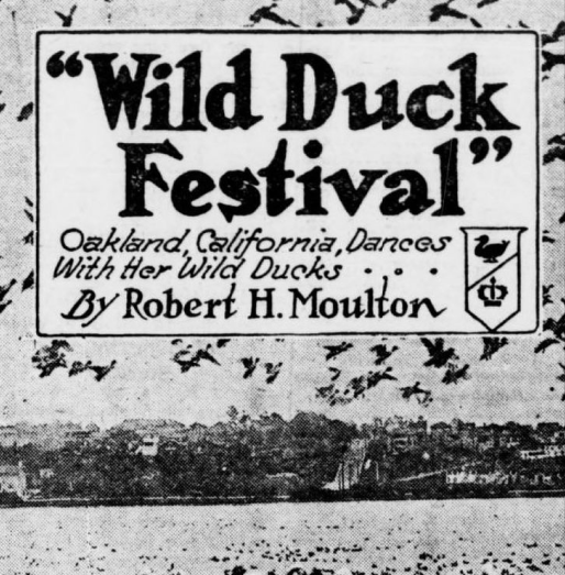 Newspaper clipping used as reference for Scaup